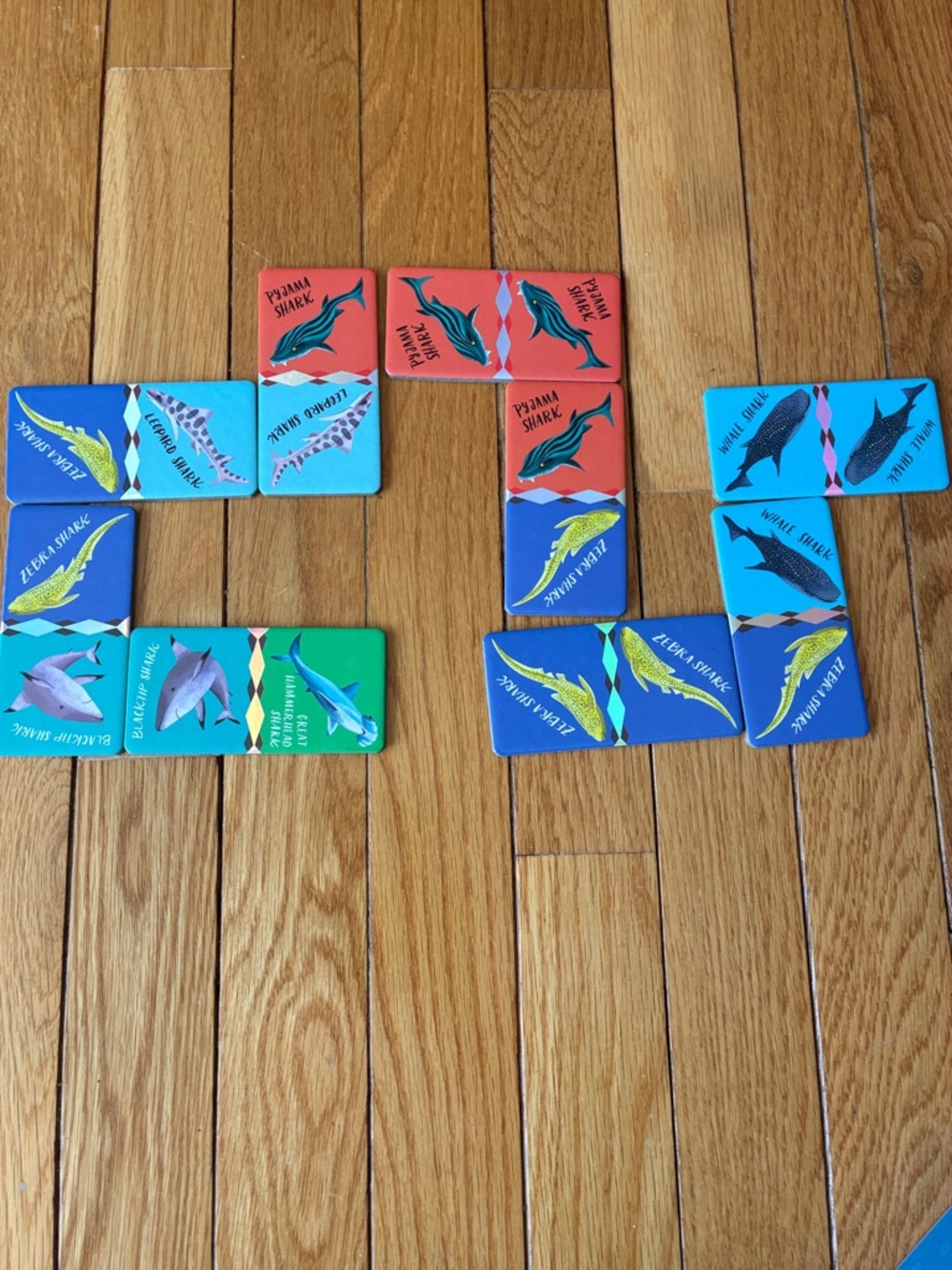 eeboo - GIANT SHINY SHARK DOMINOES - Picture 3 of 13